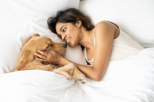 girl and dog resting on bed with pillows