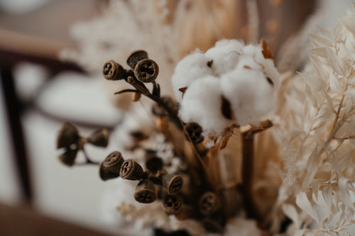 Pima Cotton Vs Egyptian Cotton Bed Sheets: The Difference