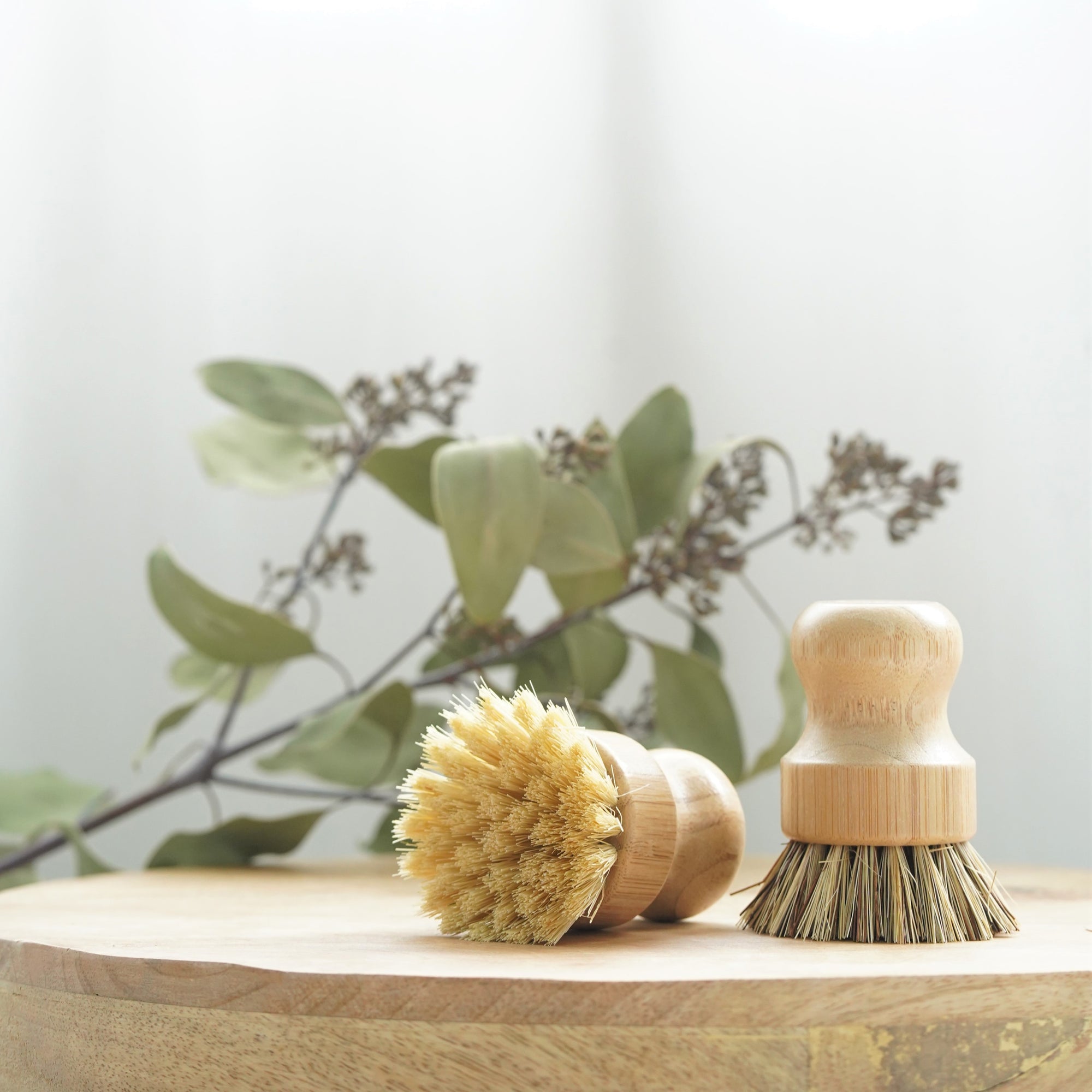 Eco Friendly Bamboo Cleaning Brushes