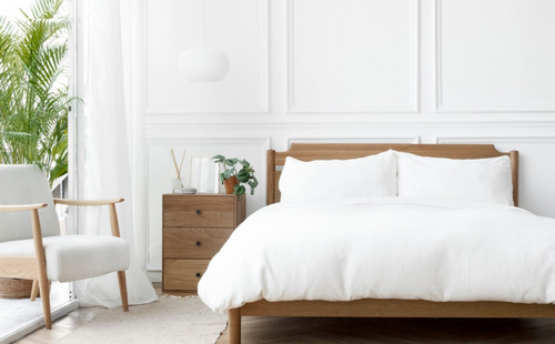 A bedroom with a white color tone and green plant
