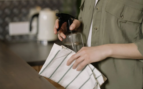 A woman holding a cleaning spray and a dry cloth