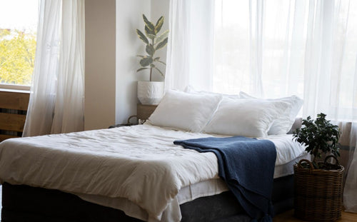 bedroom with tropical bedding and decor with potted plants