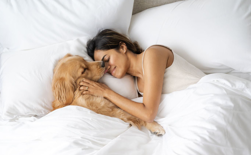 girl playing with her dog on a white bed