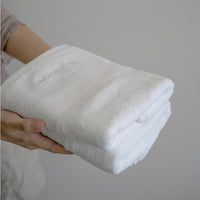 Silver Infused Hand Towel - Set of 2