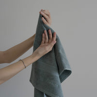Silver Infused Hand Towel - Set of 2