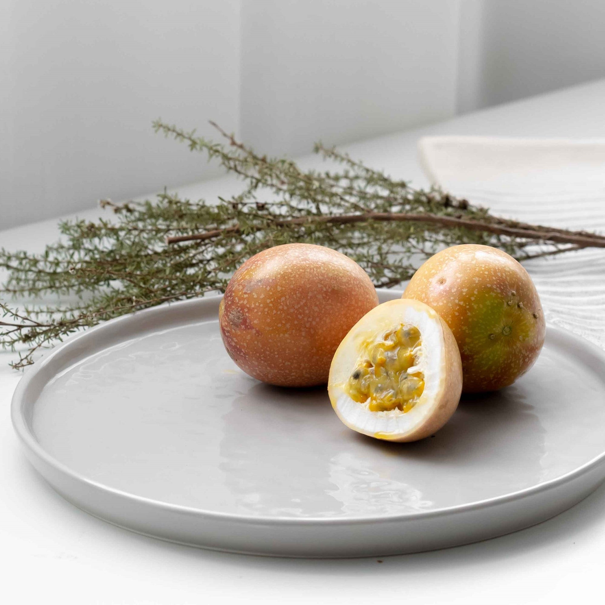 [Imperfect] Modern Rustic Plate