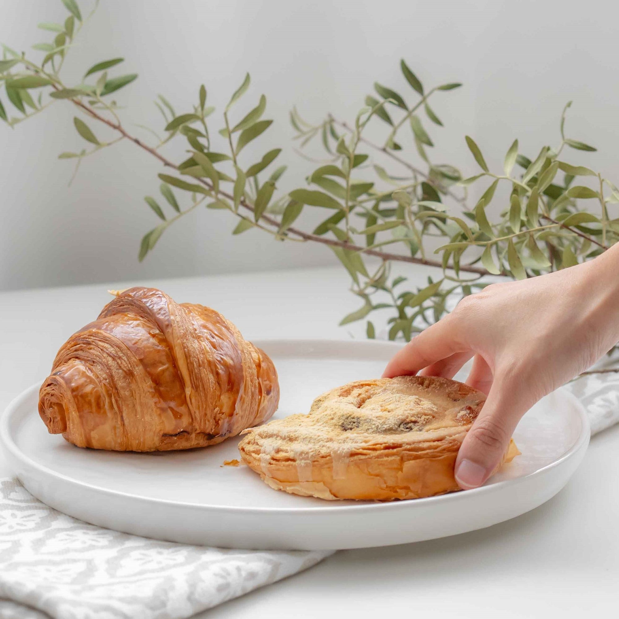 [Imperfect] Modern Rustic Plate