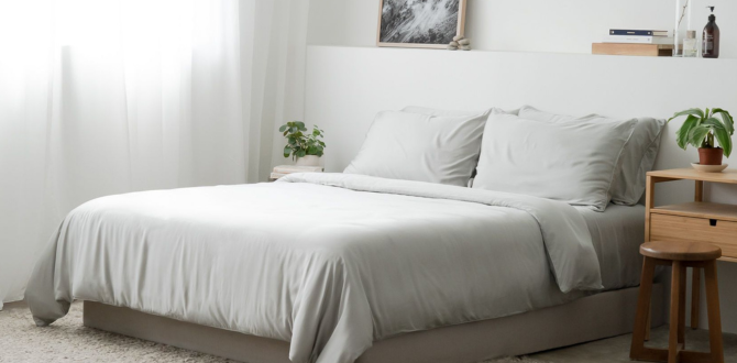 Super King Bed Sheets Singapore Super King Size Sheet Sets