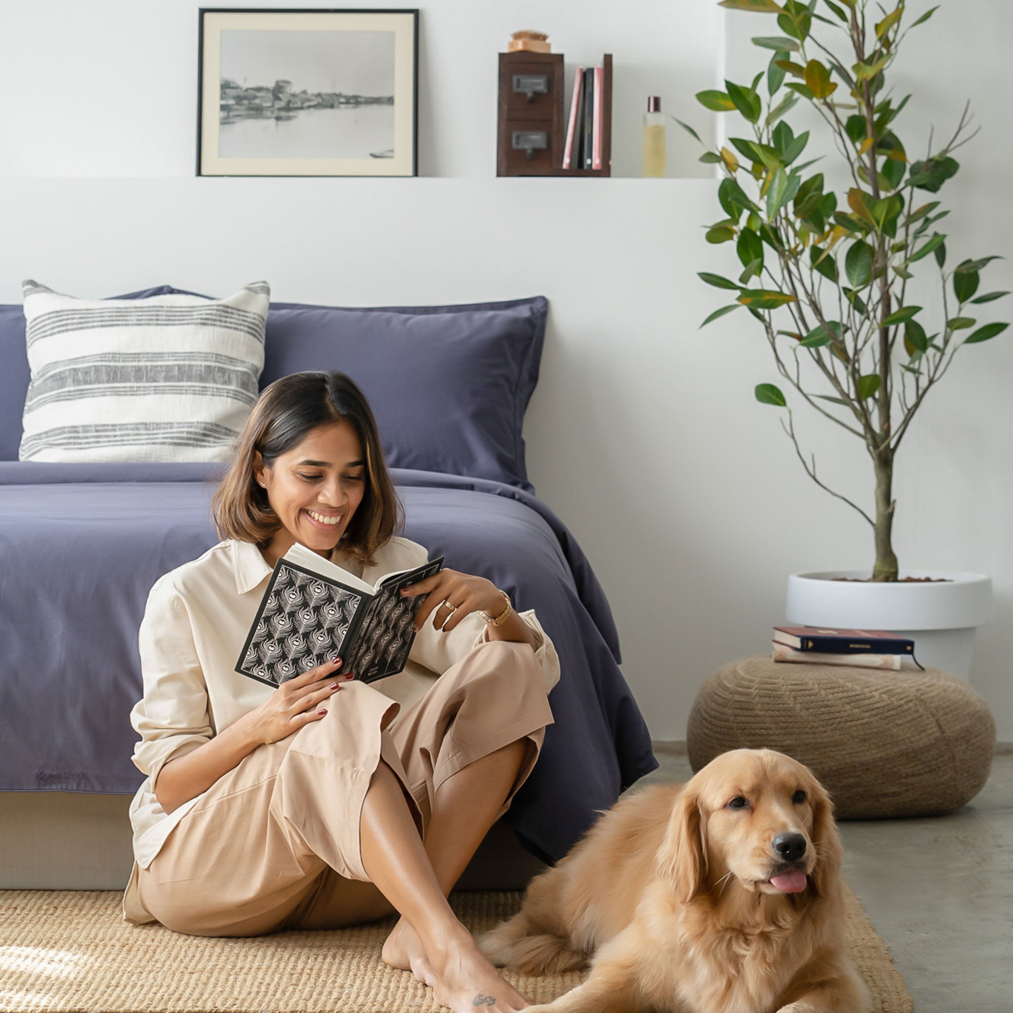 Cotton outlet dog sheets