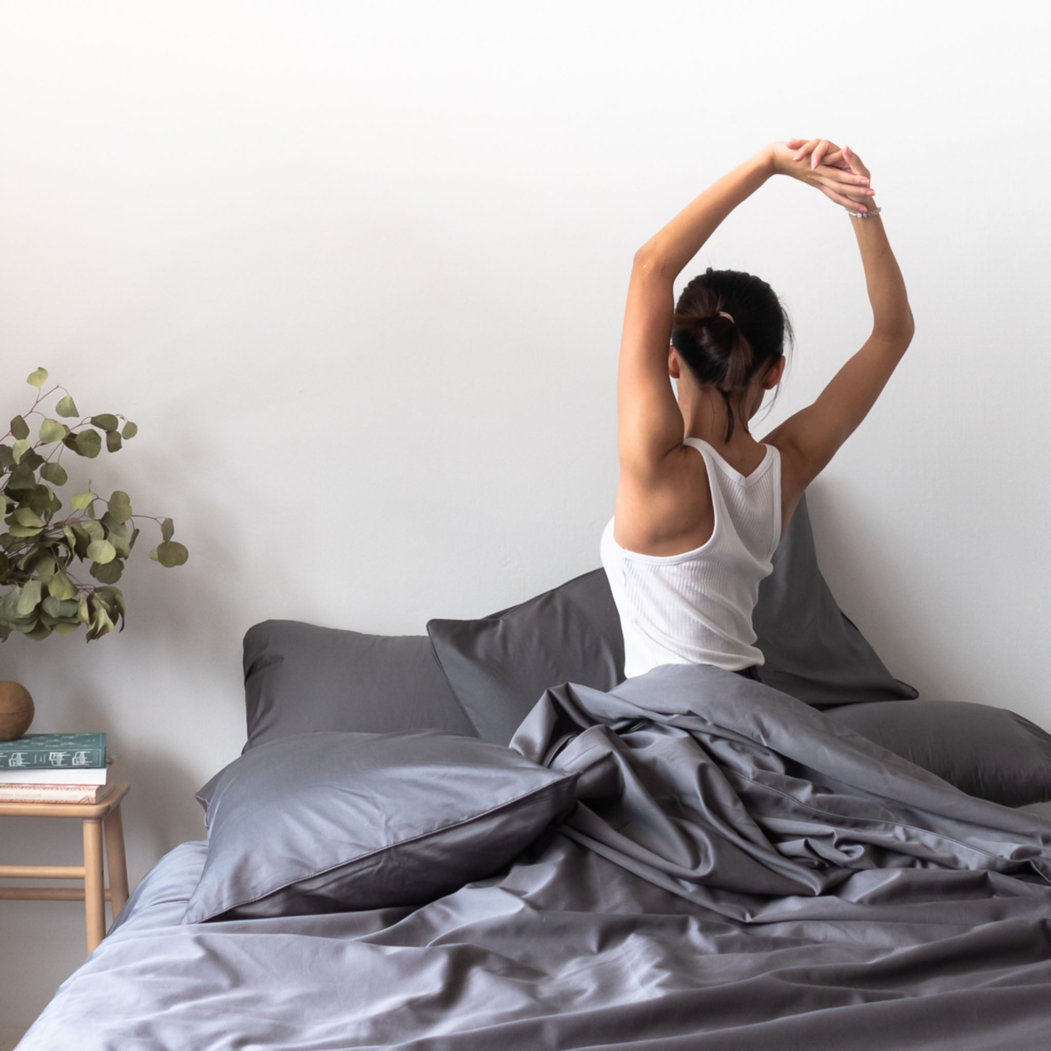 Egyptian cotton sheets and pillowcases 2025